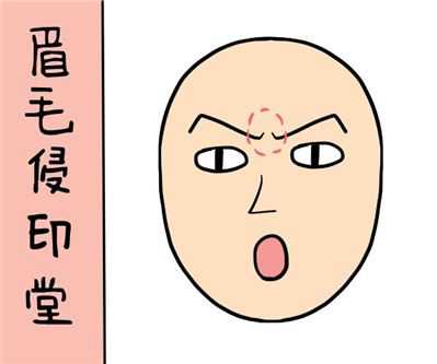 怎样从面相看财运？