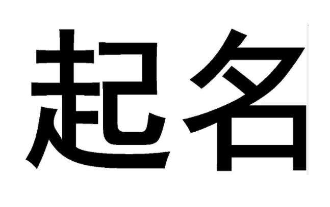 宝宝起名：有志向的，有寓意的男孩名字