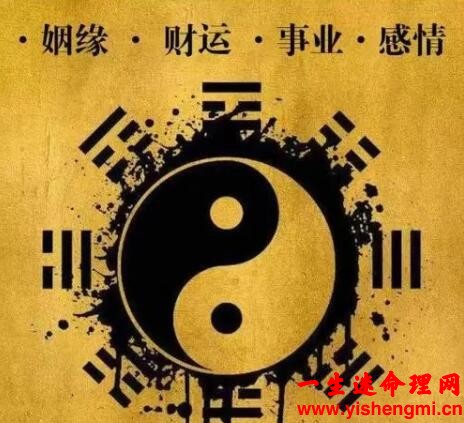 乙未日柱是上等日柱吗？什么命格？